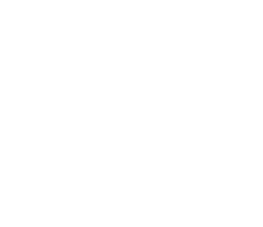Bergie Digital
